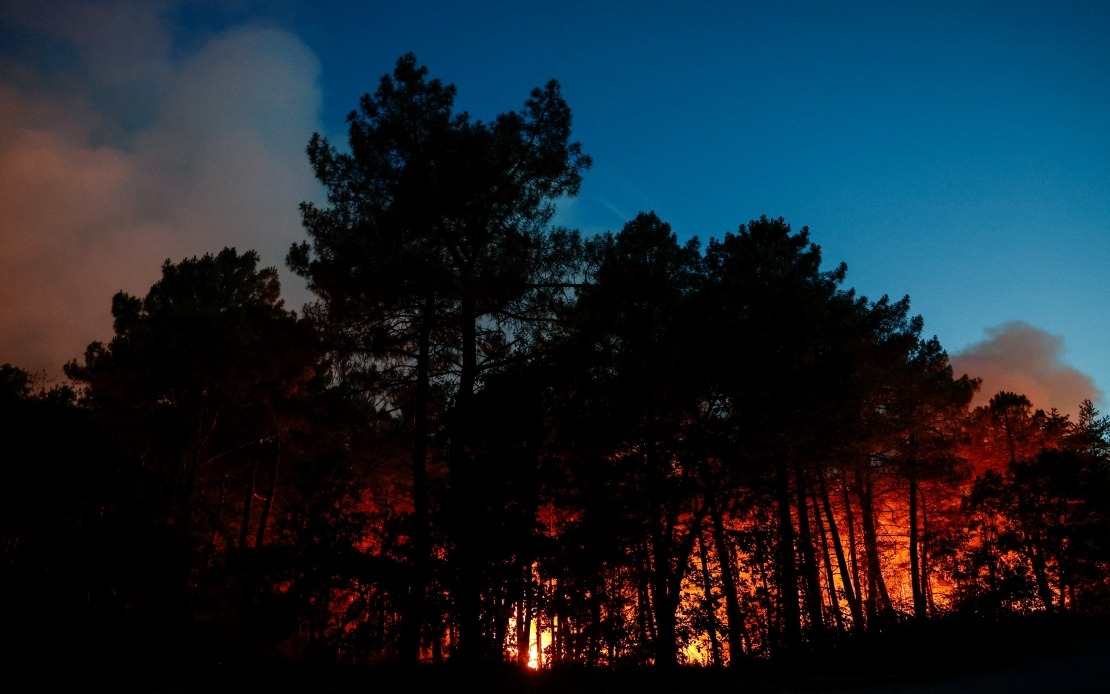 Suspected Arson Behind Major Wildfire Ravaging Fontainebleau Forest