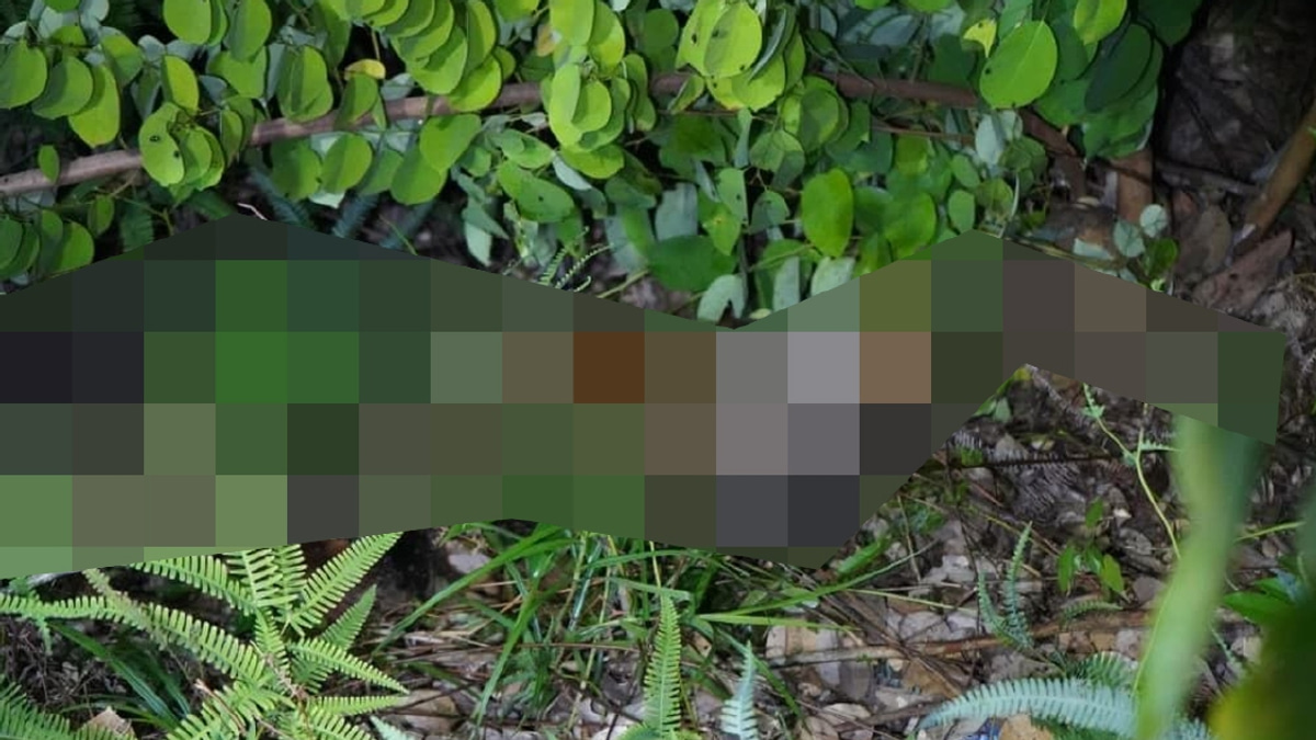 Police Arrest Two Men After 10-Year-Old Found Dead in Sabah