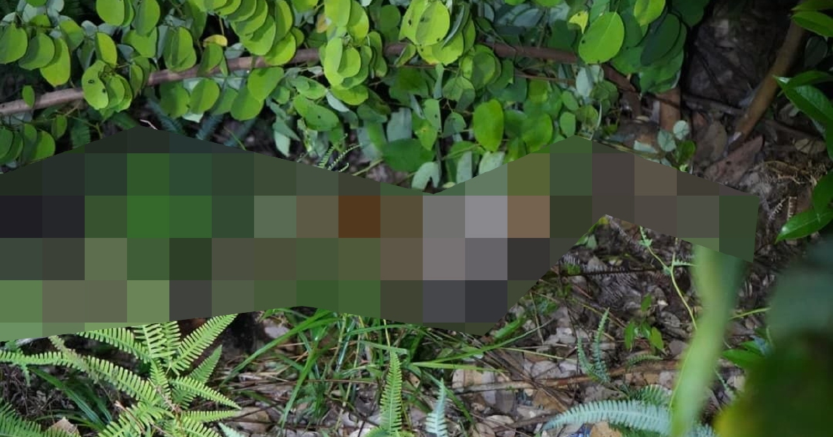 Police Arrest Two Men After 10-Year-Old Found Dead in Sabah