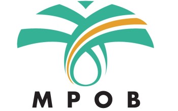 Johor Farmer Turns RM15,000 Government Grant Into RM126,000 Income Through Duck Farming on Oil Palm Land