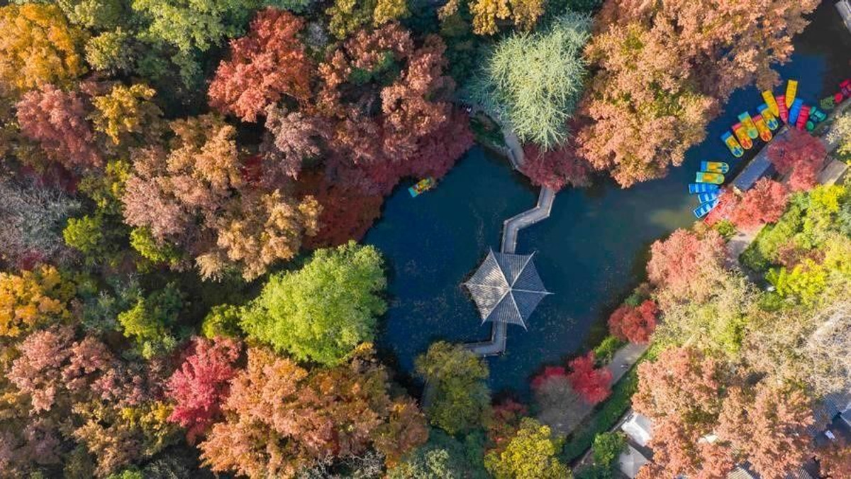 China's Top Court Prepares Judicial Framework for New Environmental Code