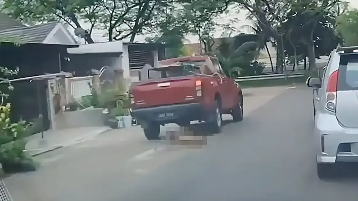 Johor Bahru City Council Takes Action Against Workers in Dog Death Incident