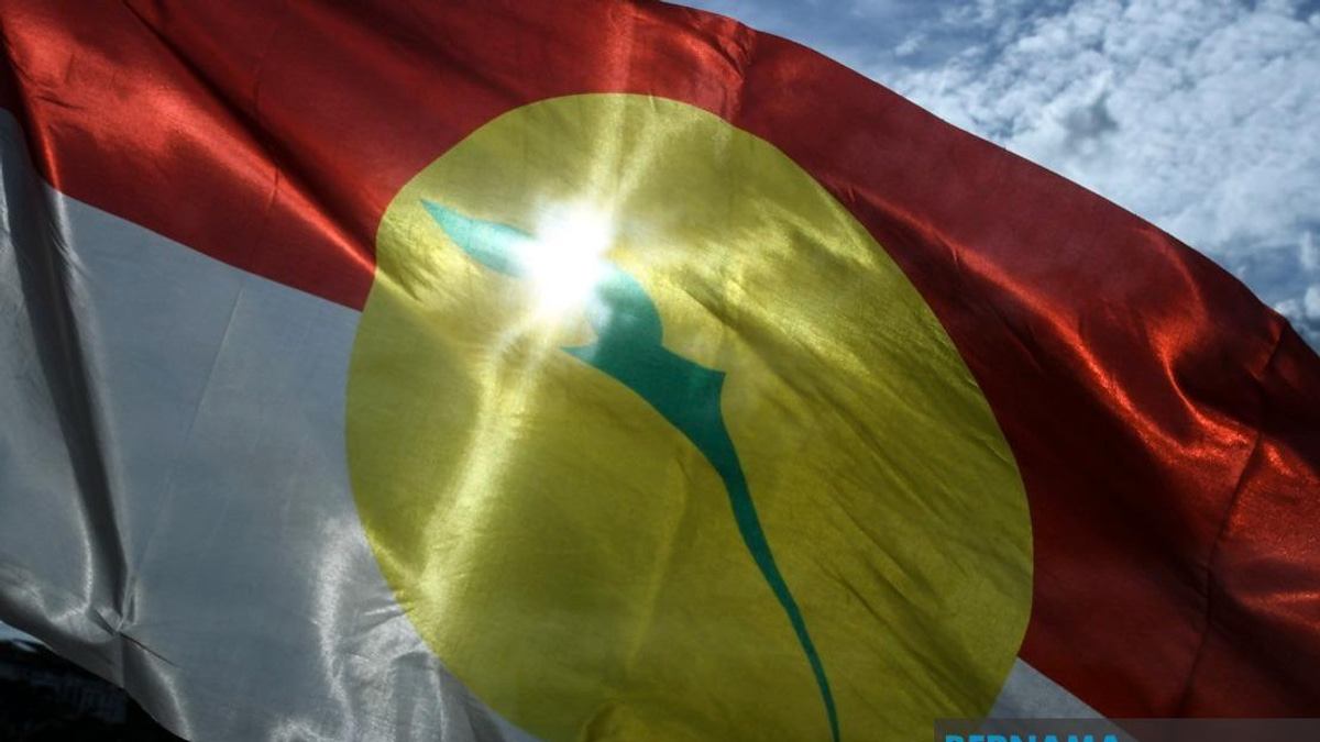 UMNO Members Must Put Party Above Personal Grievances in Johor Election, Says Azalina