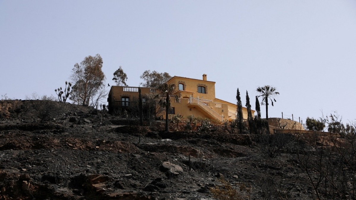 Spanish Wildfire Death Toll Reaches 13 as Blaze Stabilised in Almeria