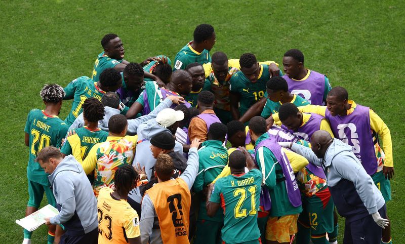 Senegal Football Federation Criticises Team Doctor's Medical Credentials After World Cup Disappointment