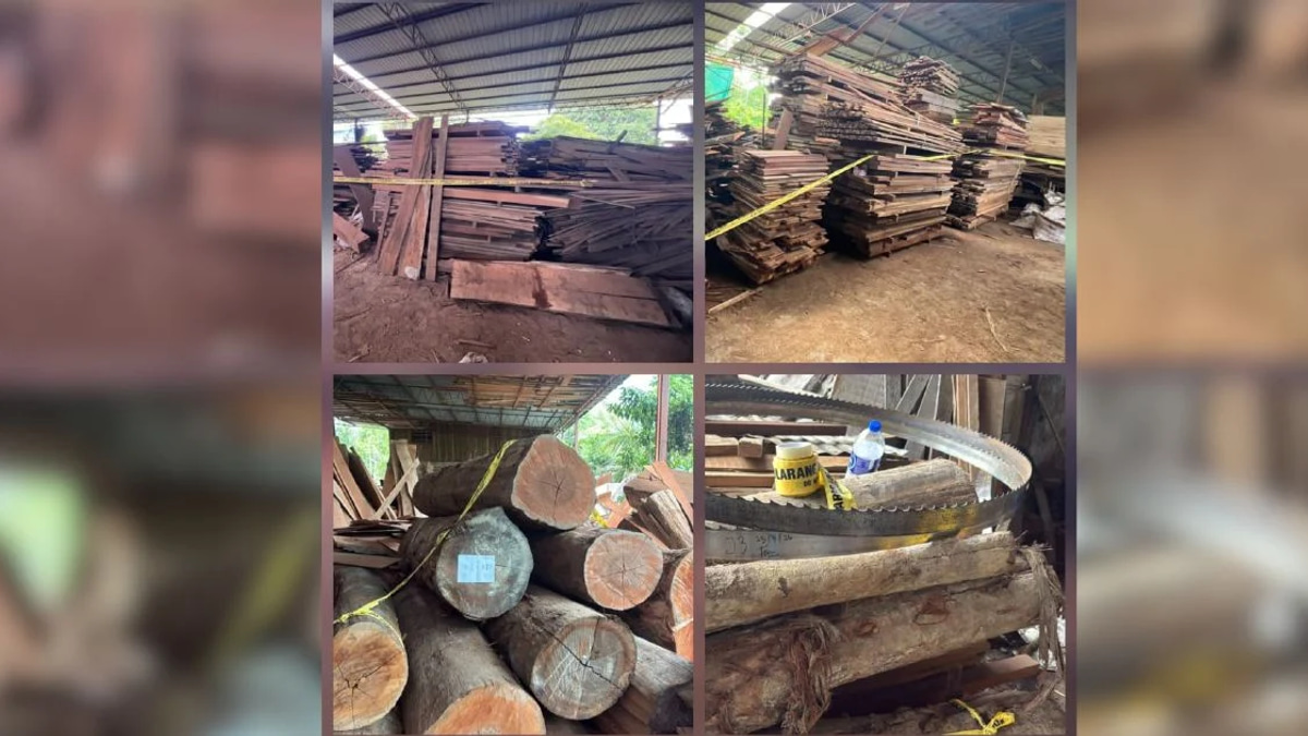 Six Arrested as Authorities Seize RM1.1m Equipment in Illegal Logging Operation