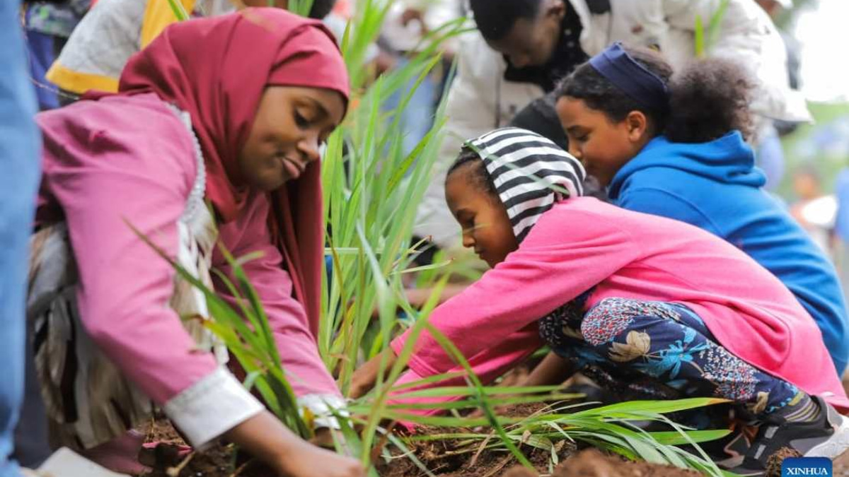 Ethiopia Plants 800 Million Trees in Single Day as Part of Ambitious Green Legacy Drive