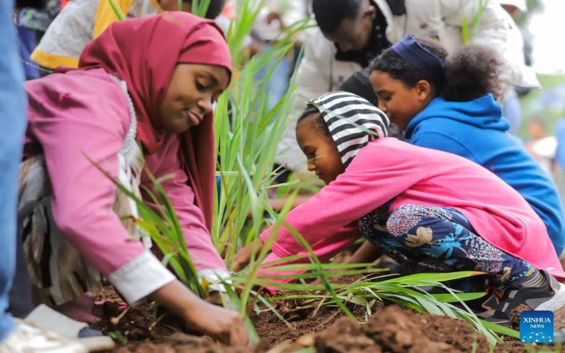 Ethiopia Plants 800 Million Trees in Single Day as Part of Ambitious Green Legacy Drive
