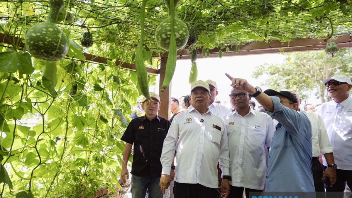 MAHA 2026 Takes Shape: Agriculture Exhibition 80% Ready for Late August Debut