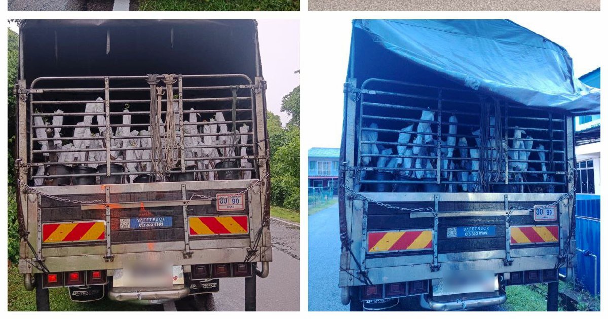 Two Held in RM85,000 Smuggled Plant Saplings Bust at Rantau Panjang
