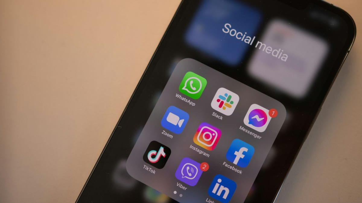 France's Constitutional Court Strikes Down Under-15 Social Media Ban