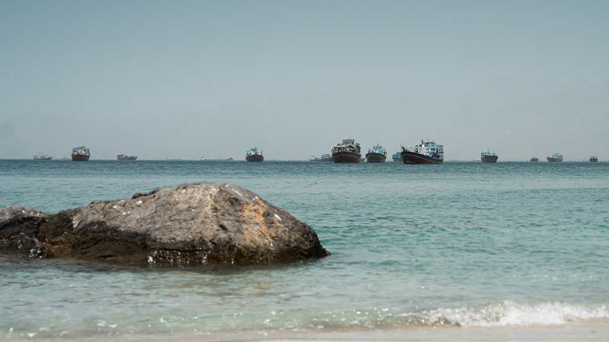 FAO Warns Global Food Crisis Could Follow Strait of Hormuz Closure