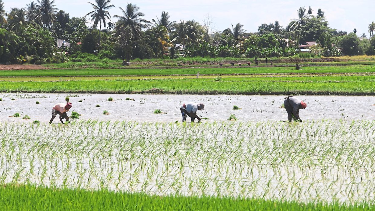 Malaysia Shields Food Prices From Middle East Turmoil Through Strategic Subsidies and Long-Term Productivity Plans