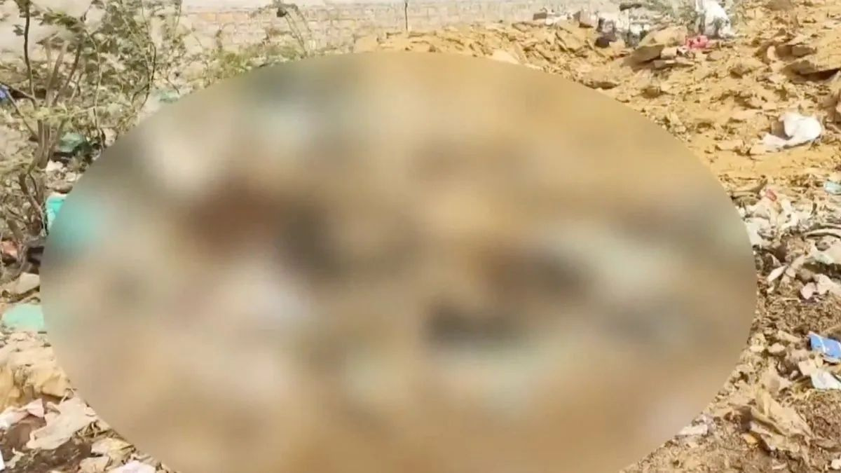 Over 300 Dead Cows Found Dumped at Jaisalmer Site, Triggering Public Anger