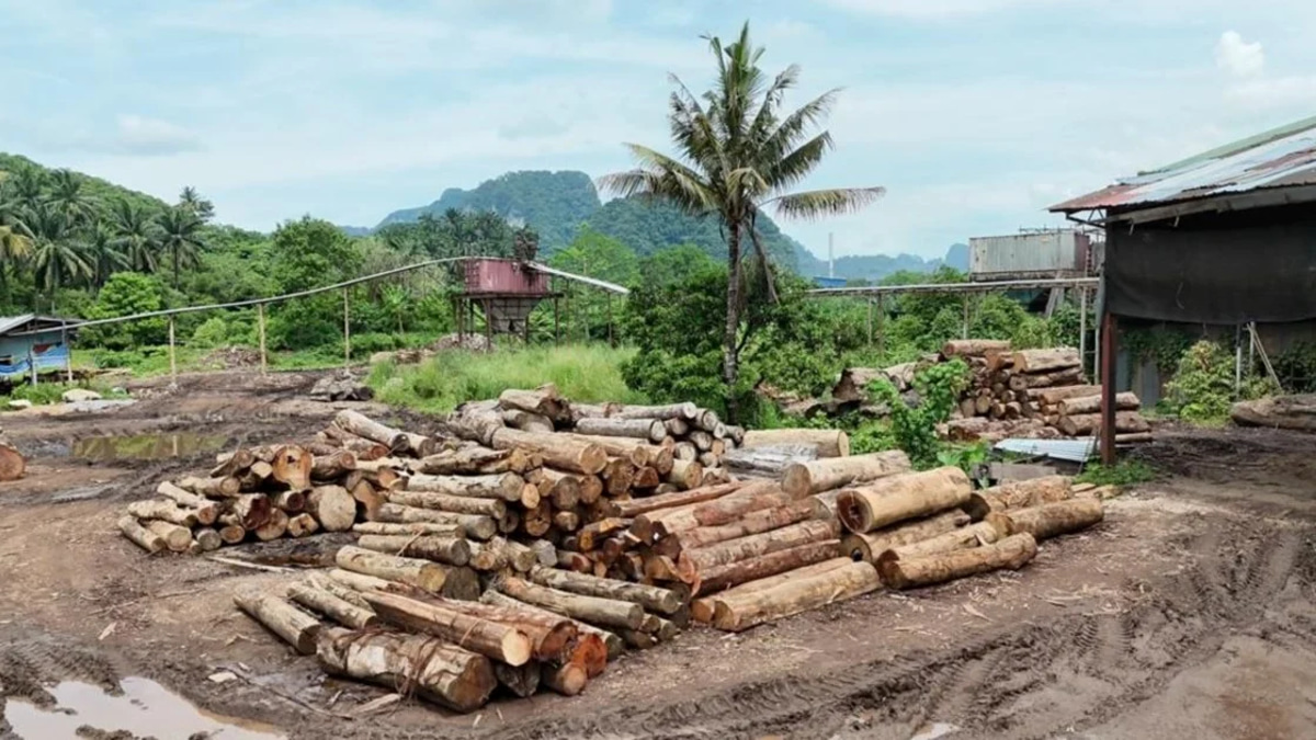 GOF nabs 11 suspects, seizes RM2.43mil in timber and equipment across Kelantan and Terengganu