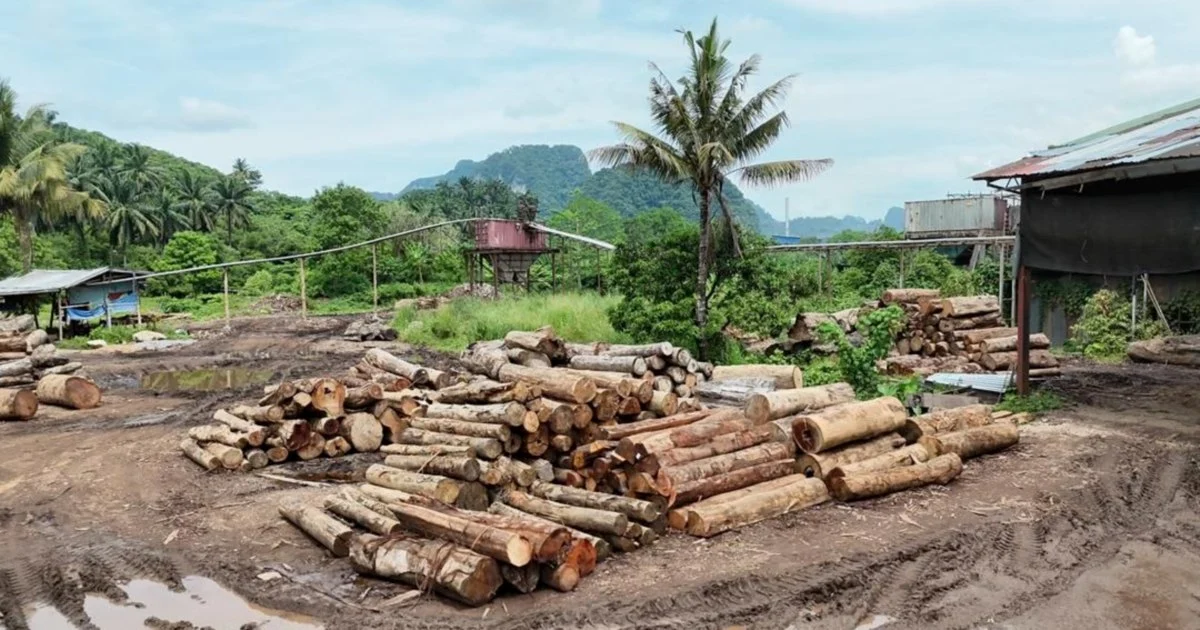 GOF nabs 11 suspects, seizes RM2.43mil in timber and equipment across Kelantan and Terengganu
